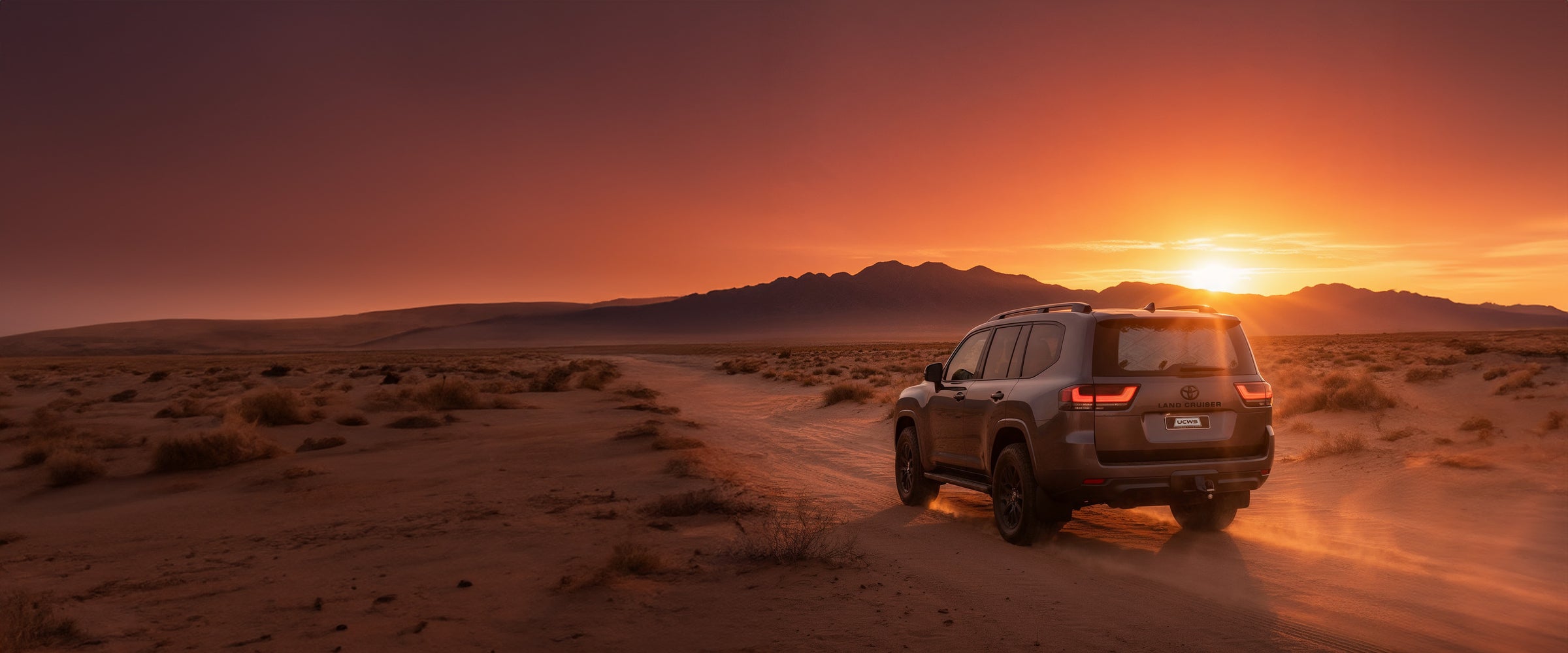 Custom Car Sun Shades